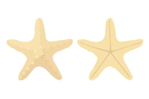 Vector sea beach object clipart Stock Illustration