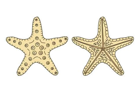 Vector sea beach object clipart Stock Illustration