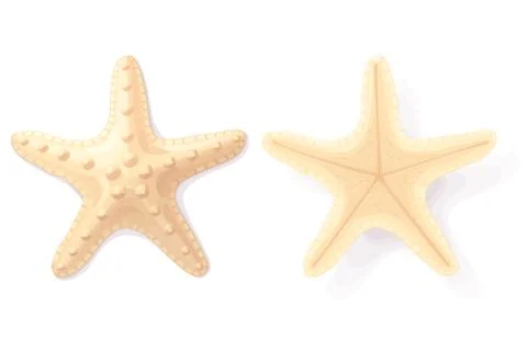 Vector sea beach object clipart Stock Illustration