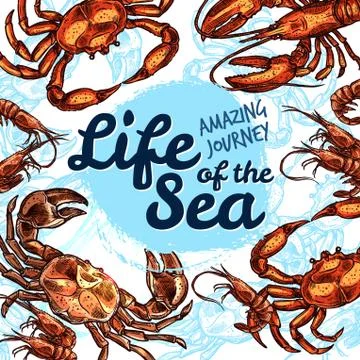 Vector sea life poster of fish sketch ocean animals Stock Illustration
