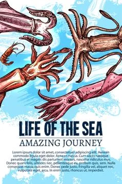 Vector sea life poster of undewater sketch animals Illustrazione stock