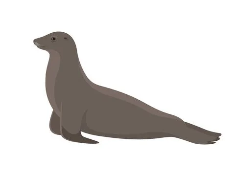 Vector sea lion Stock Illustration