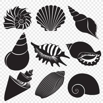 Vector sea shells black silhouettes isolated on the alpha transperant background Illustrazione stock