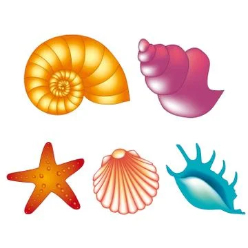 Vector sea shells Stock Illustration