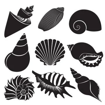 Vector sea shells. Seashell silhouettes set isolated. Stock Illustration