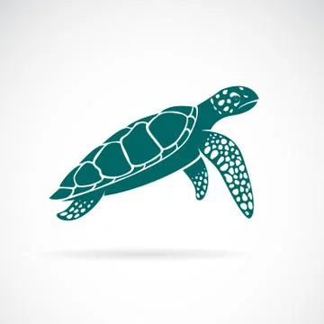 Vector of sea turtle isolated on white background. Animal. Organism under the 스톡 일러스트