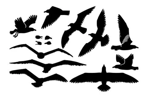 Vector seagull sea gull set Stock Illustration