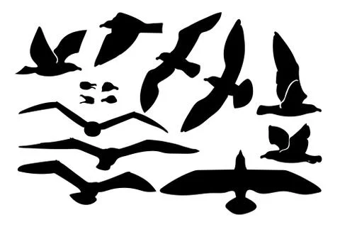 Vector seagull sea gull set Stock Illustration