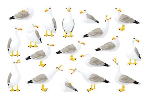 Vector seagull sea gull set Stock Illustration
