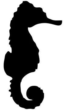 Vector Seahorse Stock Illustration
