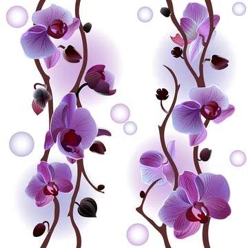 Vector seamless background with orchids Stock Illustration