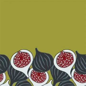 Vector seamless border with figs. Stock Illustration