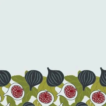 Vector seamless border with figs. Stock Illustration