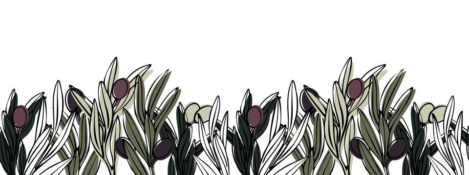 Vector seamless border with olive tree branch with leaves and olives fruit. Hand Stock Illustration