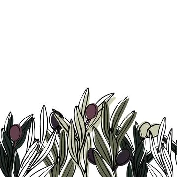 Vector seamless border with olive tree branch with leaves and olives fruit. Hand Stock Illustration