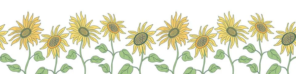 Vector seamless border with sunflowers on long stems. Stock Illustration