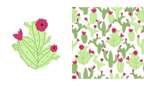 Vector seamless cactus pattern on white background. Cute childish illustration Stock Illustration