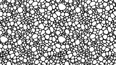 Vector seamless cell texture with organic circular shapes in black and whit.. イラスト素材