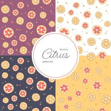 Vector seamless citrus pattern set. Stock Illustration