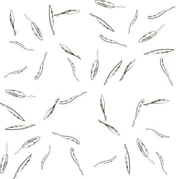 Vector Seamless Feather Pattern Stock Illustration