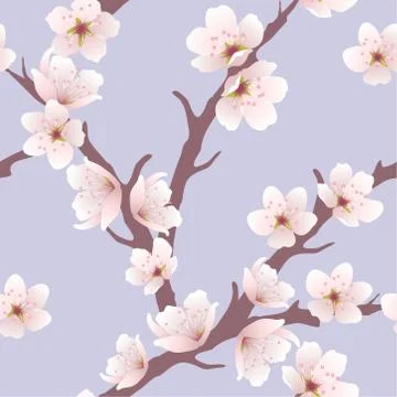 Vector seamless floral background with cherry blossom pattern Stock Illustration