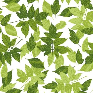Vector seamless floral pattern. Background with autumn leaves. Stock Illustration