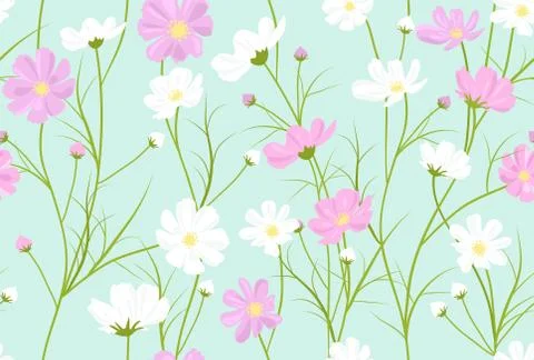 Vector seamless floral pattern with cosmos flowers Stock Illustration