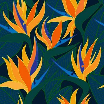 Vector seamless floral pattern with herbaceous plant of strelitzia. Illustration