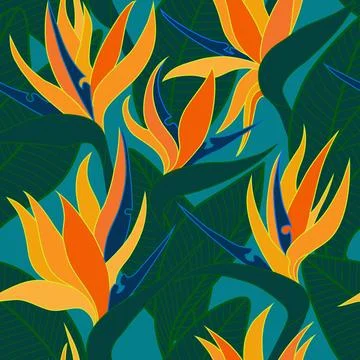 Vector seamless floral pattern with herbaceous plant of strelitzia. Illustration