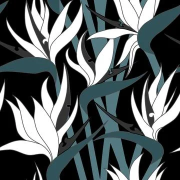 Vector seamless floral pattern with herbaceous plant of strelitzia. Illustration