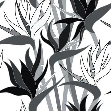 Vector seamless floral pattern with herbaceous plant of strelitzia. Illustration