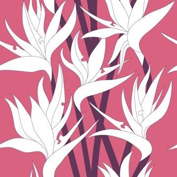 Vector seamless floral pattern with herbaceous plant of strelitzia. Illustration