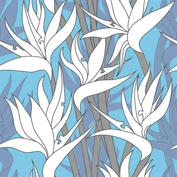 Vector seamless floral pattern with herbaceous plant of strelitzia. Illustration
