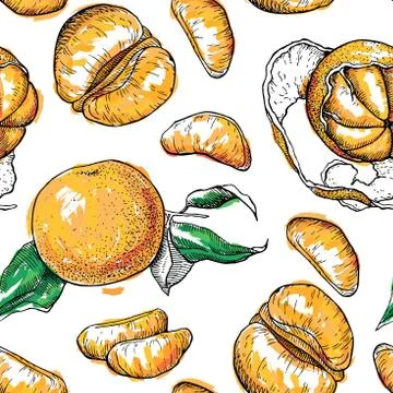 Vector seamless hand drawn mandarin pattern Illustrazione stock