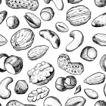 Vector seamless  hand drawn nuts pattern. Stock Illustration