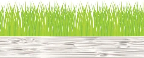 Vector seamless illustration of green grass Stock Illustration
