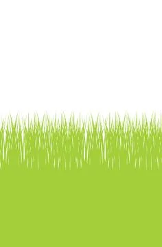 Vector seamless illustration of green grass Stock Illustration