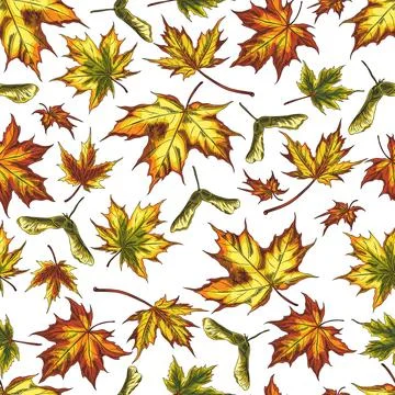 Vector seamless illustration of maple autumn leaves of different colors, with Illustrazione stock