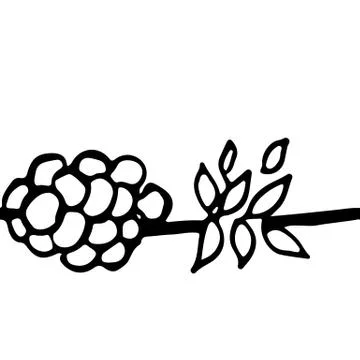 Vector seamless ornament. Simple berry pattern. Illustrazione stock