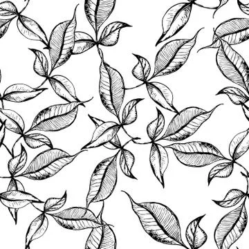 Vector seamless outline leaves pattern. Black ink engraved on white background Stock Illustration