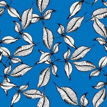 Vector seamless outline leaves pattern. Black ink engraved on blue background Stock Illustration