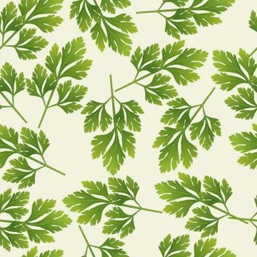Vector seamless parsley pattern Stock Illustration