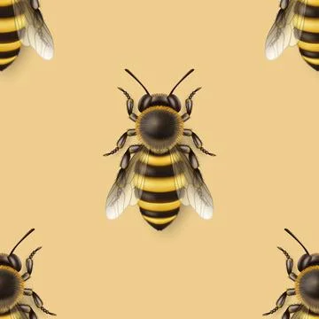Vector Seamless Pattern with 3d Realistic Detailed Honey Bee Icon Closeup on 스톡 일러스트