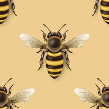 Vector Seamless Pattern with 3d Realistic Detailed Honey Bee Icon Closeup on Stock Illustration