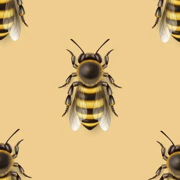 Vector Seamless Pattern with 3d Realistic Detailed Honey Bee Icon Closeup on Illustrazione stock