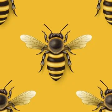 Vector Seamless Pattern with 3d Realistic Detailed Honey Bee Icon Closeup on Stock Illustration