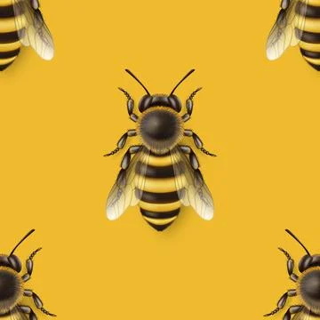 Vector Seamless Pattern with 3d Realistic Detailed Honey Bee Icon Closeup on Stock Illustration