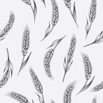 Vector Seamless Pattern with Agriculture Wheat, Cereal Ears. Organic Wheat, Rice Stock Illustration