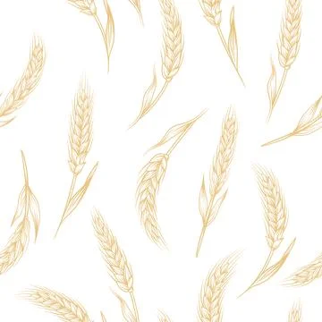 Vector Seamless Pattern with Agriculture Wheat, Cereal Ears. Organic Wheat, Rice イラスト素材