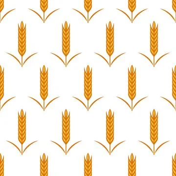 Vector Seamless Pattern with Agriculture Wheat and Cereal Ears on White. Organic Stock Illustration